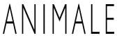 Logo da loja Animale