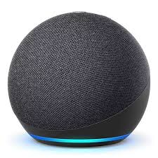 Alexa em fundo branco