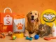 Cupons de desconto para Pets no adoro cupomcupom